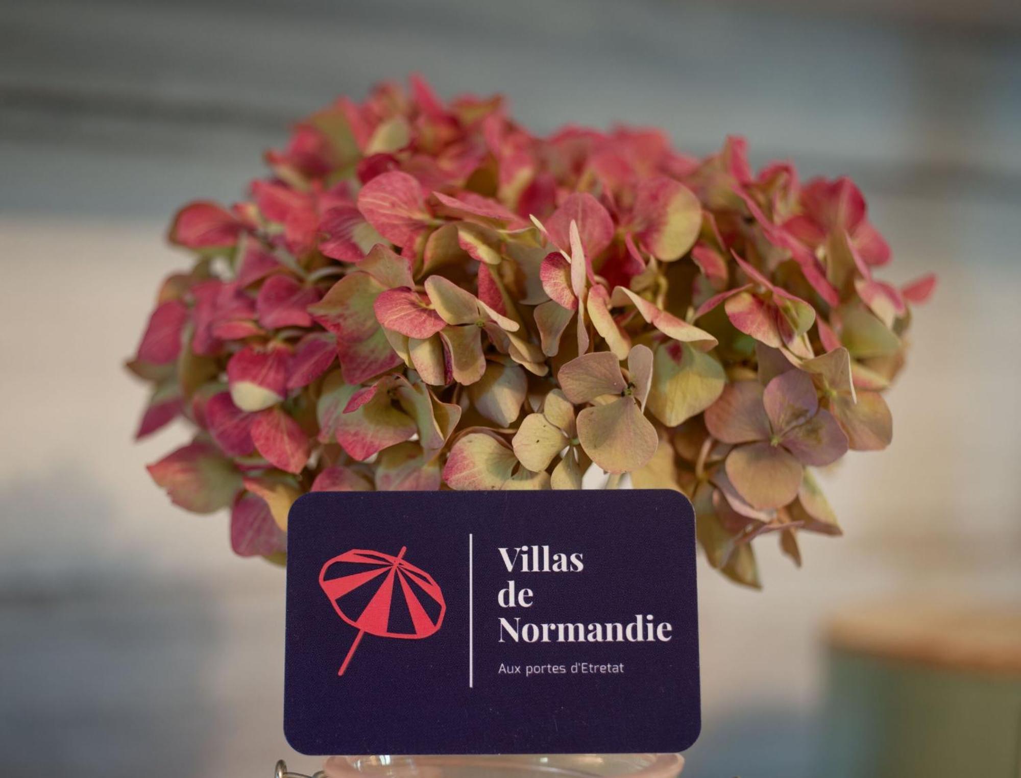 La Fleur De Sel D'Etretat Villa Bordeaux-Saint-Clair Luaran gambar